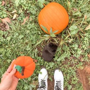 Meet your Posher, Hollee